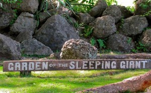 The garden of sleeping giant
